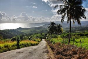 Read more about the article The best road trips in Barbados