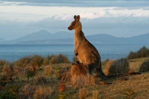 Read more about the article Hidden Australia — best places to get off the beaten path Down Under