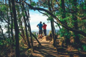 Read more about the article The 12 best hikes in Australia