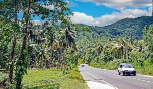 Read more about the article Best road trips in Jamaica